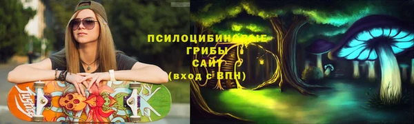 mdpv Алзамай
