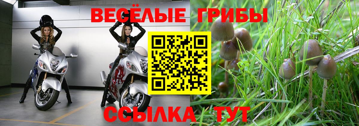 Галлюциногенные грибы прущие грибы Коркино