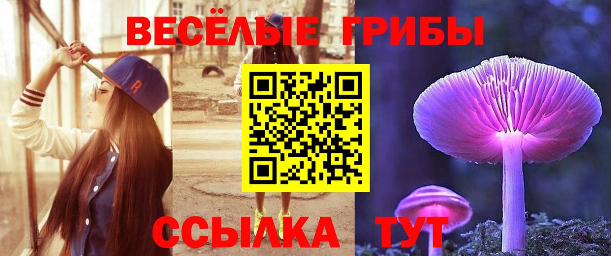 Гашиш Коркино